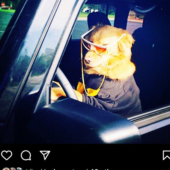 mystery prize box from DeeOgee ( D O G) customized to you . - Picture 10 of 11